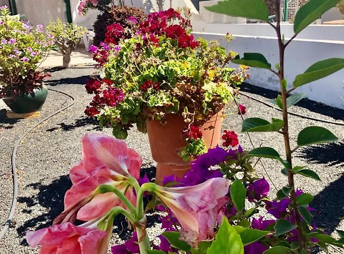 Casa Maiakai בית נופש פלאיה בלנקה