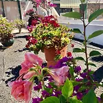 Casa Maiakai 別荘 プラヤ・ブランカ